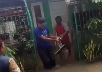 Warga Pinang Terkena Gigitan Ular Berukuran 2 Meter Saat Banjir