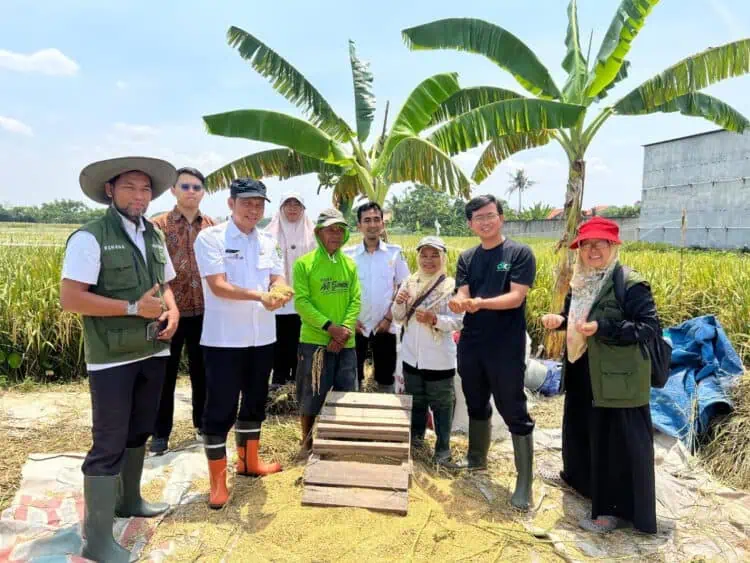 DKP Kota Tangerang Dorong Produktivitas Pertanian, 30 Ton Beras Sukses Dihasilkan Kelompok Tani