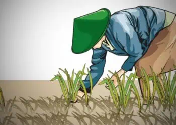 Dianggap Serobot Lahan, Ormas di Lebak Dipolisikan Kelompok Petani