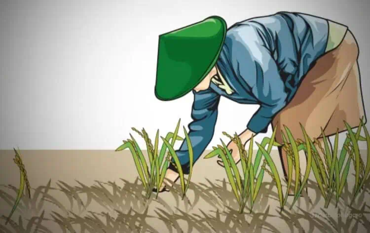 Dianggap Serobot Lahan, Ormas di Lebak Dipolisikan Kelompok Petani