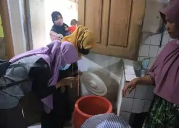 Dinkes Catat 15 Kasus Penyakit Chikungunya di Kota Tangerang, Paling Banyak di Kunciran