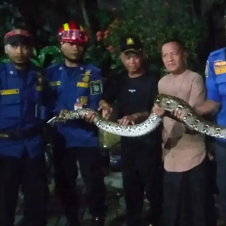 BPBD Kota Tangerang Terima 34 Pengaduan Masyarakat, 7 Diantaranya Kebakaran