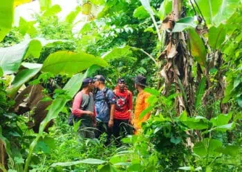 Tak Kunjung Ditemukan, Pencarian Lansia yang Hilang di Hutan Dihentikan Sementara