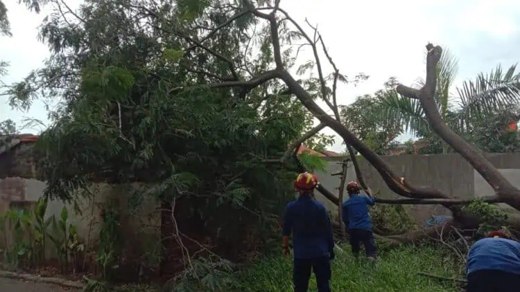 Rumah Warga Tertimpa Pohon Tumbang di Tanah Tinggi