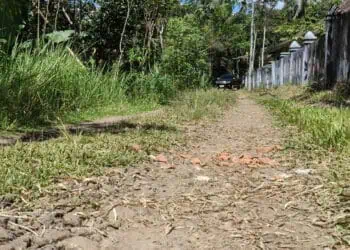 Ruas Jalan Salawi-Parakan Kecamatan Cipeucang Pandeglang Butuh Perbaikan
