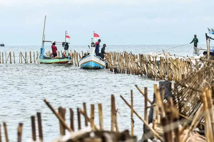 Pemprov Banten Kerahkan Alat Berat Bongkar Sisa Pagar Laut di Tangerang