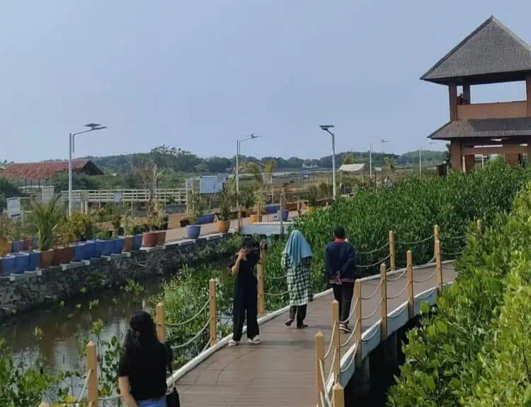 Ketapang Urban Aquaculture Mauk Sepi Pengunjung