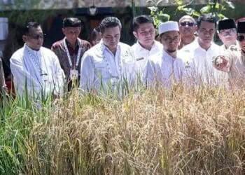 Prabowo Yakin Swasembada Pangan