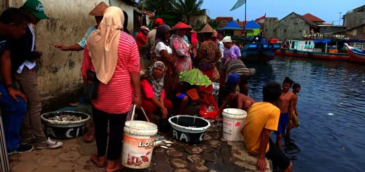 Bertahun-tahun, Nelayan Lelang Ikan di TPI Ilegal di Labuan Pandeglang