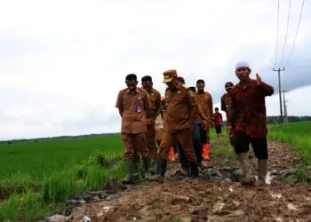 Pemprov Banten Targetkan Bangun Jalan Usaha Tani Sepanjang 80 Kilometer