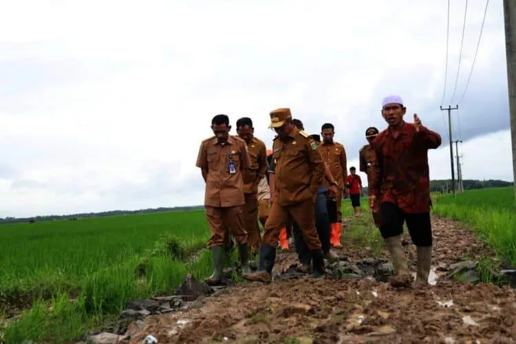 Pemprov Banten Targetkan Bangun Jalan Usaha Tani Sepanjang 80 Kilometer