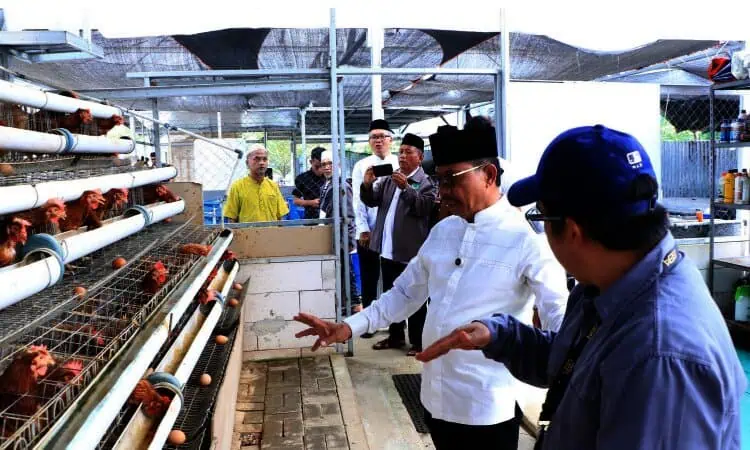 Wali kota Tangerang Tinjau Food Estate di Kawasan Cipondoh
