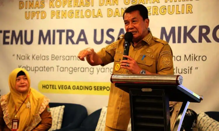 Bupati Tangerang Dorong Usaha Mikro Jadi Tulang Punggung Ketahanan Ekonomi Keluarga