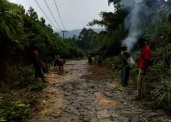 211 Titik Ruas Jalan Poros Desa di Lebak Diusulkan Agar Dibangun Pemprov Banten