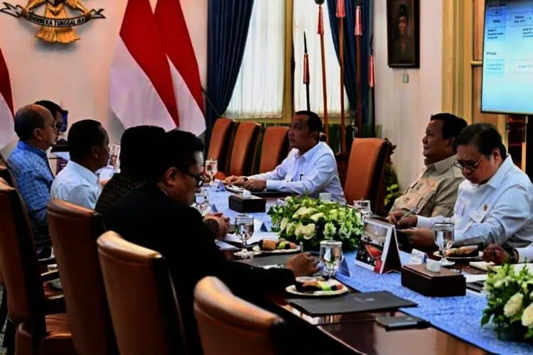 Presiden Prabowo Setujui Huayou Lanjutkan Pengelolaan Proyek Hilirisasi Baterai Senilai 9,8 USD