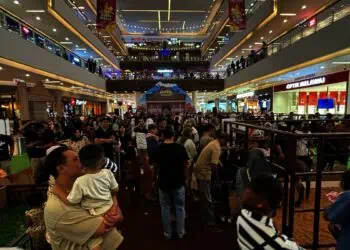 Mall Ciputra Tangerang Hadirkan Satwa Eksotis dalam Aninal Wonders