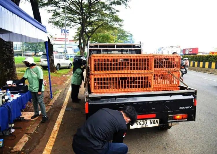 Dinas Lingkungan Hidup Tangsel Lakukan Uji Emisi Ratusan Kendaraan
