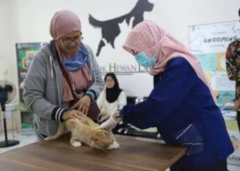 Pekan Steril Hewan Peliharaan di Kota Tangerang Kembali Digelar