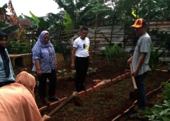 Kelurahan Pedurenan Manfaatkan Lahan Tidur Untuk KWT