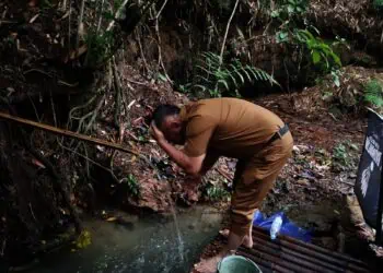 Viral, Pohon Beringin di Tapos Tangerang Keluarkan Air