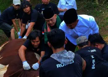 Iduladha 1446 H, Polda Banten Sembelih 137 Hewan Kurban