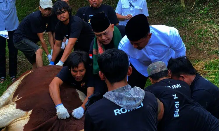 Iduladha 1446 H, Polda Banten Sembelih 137 Hewan Kurban