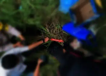 Pemulung Temukan Mayat Bayi di Tanah Gocap Kota Tangerang