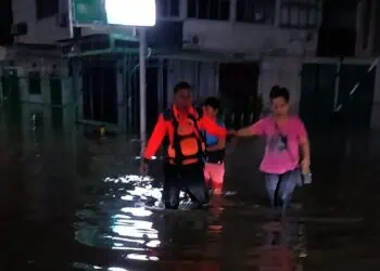 Imbas Hujan Deras di Tangsel, Pohon Tumbang Timpa Mobil dan Banjir di 7 Titik