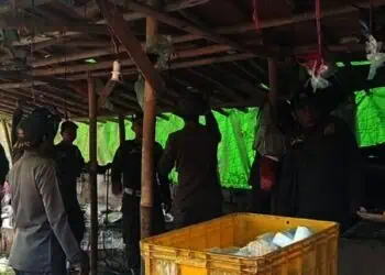 117 Lapak PKL di Jalan Pasar Sentiong Berhasil Dibongkar