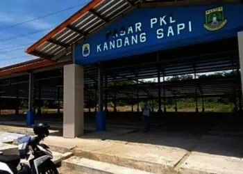 Sebelum Ditempati Pasar Semi Lebak Perlu Dibenahi
