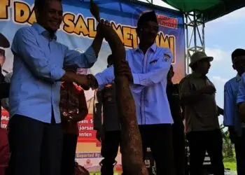 Salamet Bumi, Cara Desa Banjarsari di Lebak Kuatkan Ekonomi Lokal