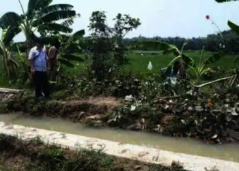 10 Titik Jaringan Irigasi di Lebak Diperbaiki