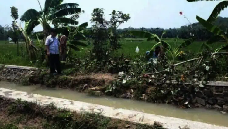 10 Titik Jaringan Irigasi di Lebak Diperbaiki