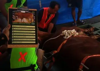 Warga Kompleks Buana Gardenia Pinang Kurban 40 Sapi dan 18 Kambing, Termasuk John LBF