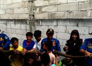 Penemuan Ular di Tangsel Meningkat, Warga Diminta Waspada