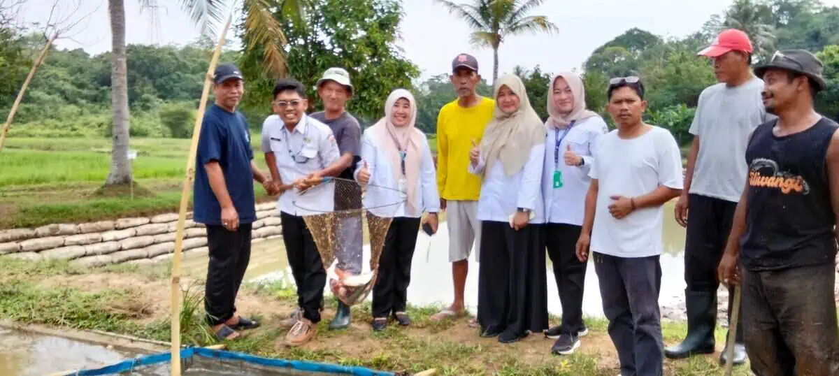 Budidaya Ikan Jadi Inovasi Ketahanan Pangan di Kaduagung, Panen Tiga Kali Setahun Budidaya Ikan Jadi Inovasi Ketahanan Pangan di Kaduagung, Panen Tiga Kali Setahun
