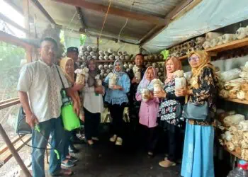 Sinergi PKK dan UMKM, Jamur Crispy Kaduagung Siap Jadi Produk Unggulan Lokal