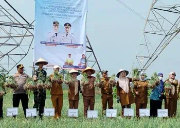Produksi Rendah, Kebutuhan Bawang di Kabupaten Serang Masih Disupply dari Luar