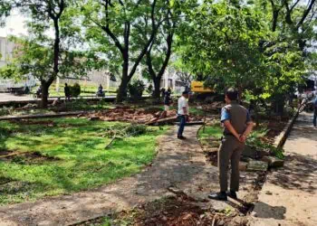 Taman di Atas Sungai Pangodokan Pasar Kemis Dibongkar
