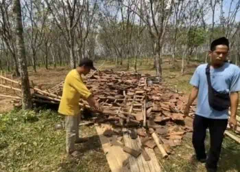 Diintimidasi, Petani Penggarap Lahan Karet di Lebak Lapor Polisi