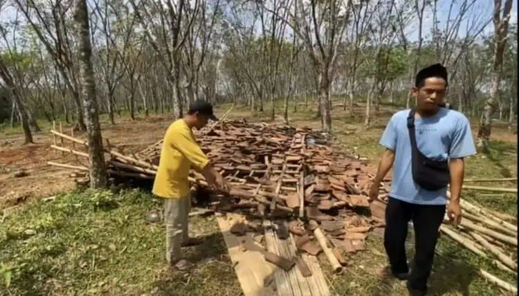 Diintimidasi, Petani Penggarap Lahan Karet di Lebak Lapor Polisi