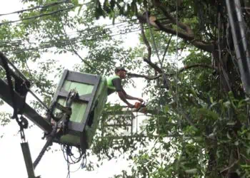 Cegah Tumbang Disbudpar Kota Tangerang Pangkas Pohon