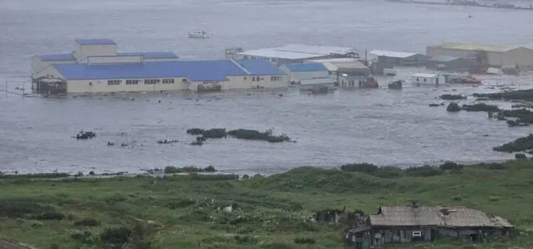 Dampak Gempa 8,8 SR Rusia: WNI Aman, Jepang Tsunami