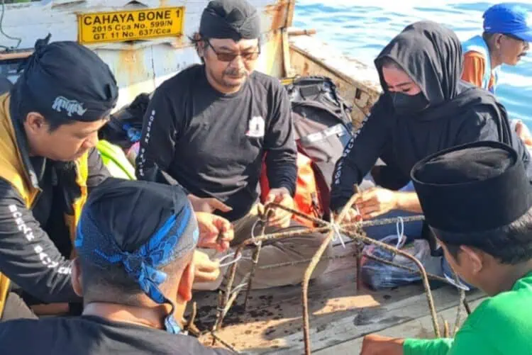 Perkumpulan Boedak Suang Transplantasi Ratusan Bibit Terumbu Karang di Pulau Liwungan Pandeglang