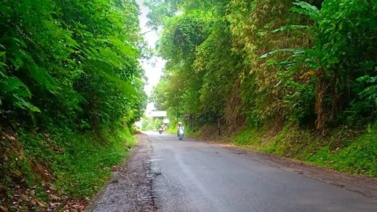 Fantastis, Total Anggaran Pengadaan Lampu PJU di Dishub Banten Capai Rp5,341 Miliar