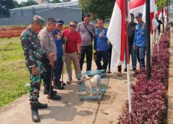 Bocah Digigit Anjing Liar, Damkar Tangsel Gandeng Komunitas