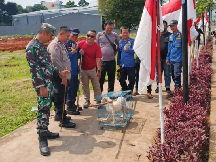 Bocah Digigit Anjing Liar, Damkar Tangsel Gandeng Komunitas