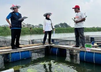 Lomba Meningkatkan Produktivitas Budidaya Ikan di Kampung Wisata Keramba 22 Periuk