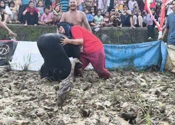 Keseruan Warga Lebak Tangkap Bebek di Tengah Lumpur Sawah