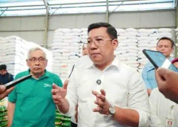 Klasifikasi Bakal Dihapus, Harga Beras Pakai Zonasi